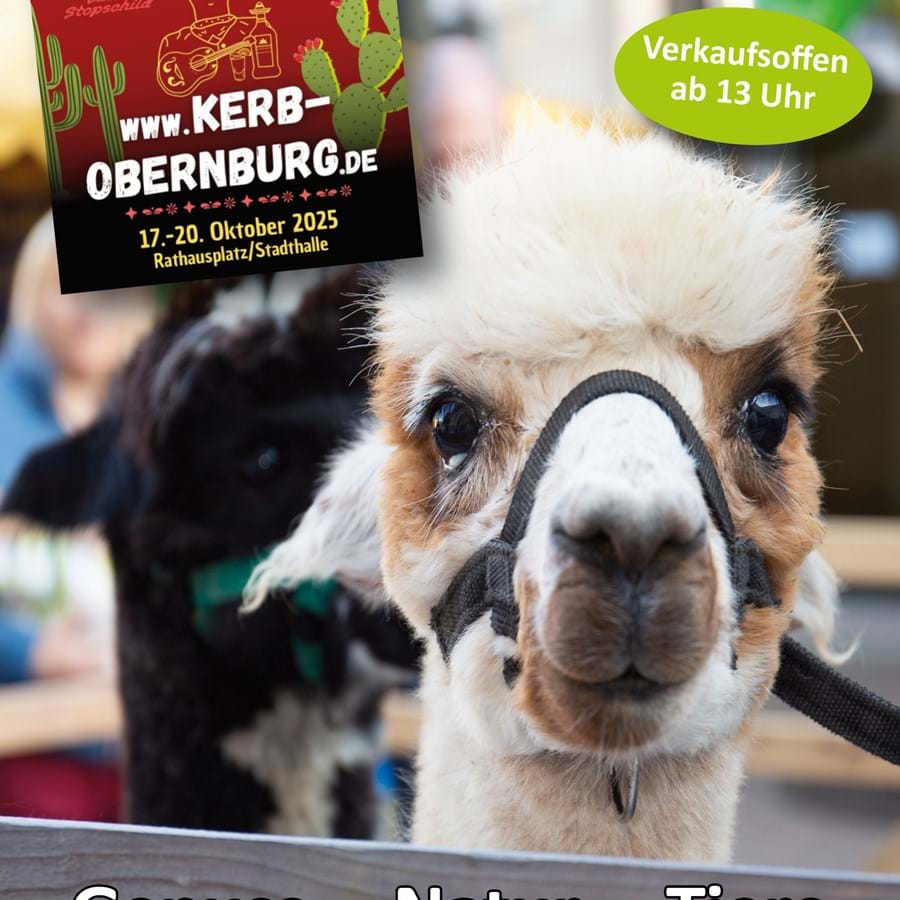 Plakatmotiv-Herbstmarkt-2513.jpg