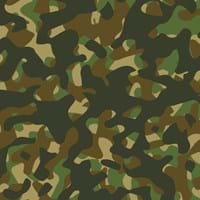 nikkigocom-camouflage-6383610_1920.jpg
