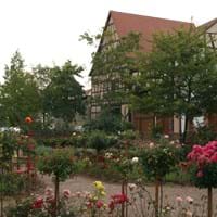 Almo-Roseng.jpg