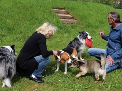Hundespielplatz_2018-04.JPG