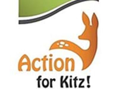 Action-Kitz.JPG