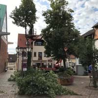 Baumfaellung-Kirchplatz_2019-08 011.jpg