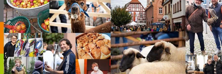 Foto-Collage_HerbstMarkt_Obernburg_2021.jpg