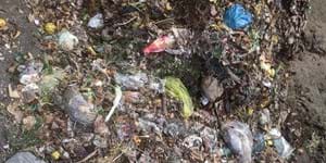 Plastik im Bioabfall.jpg