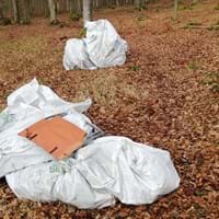 Foto Etnernitplatten.jpg