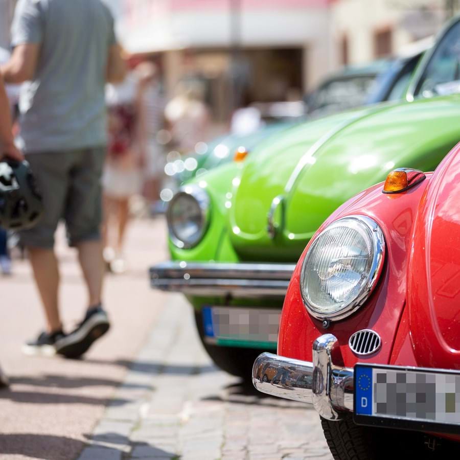 KäferPlage-Foto Ingo Janek-bearbeitet Grafiker-OBB-Kennzeichen u pixel.jpg