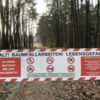 Forst Banner.jpg (1)