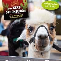 Obernburger Kerb & HerbstMarkt am Kerbsonntag